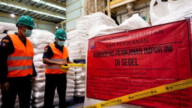 KKP menyegel bahan baku pakan ikan impor di Banten. Foto: Antara