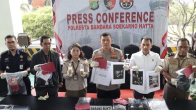 Konferensi pers penyelundupan benih lobster lewat Bandara Soetta. Foto: Antara