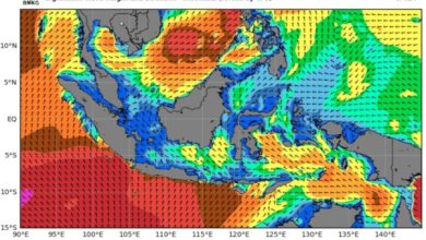 Perkirakaan kecepatan angin BMKG. Foto: LKBN Antara