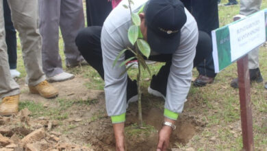 Persiapan Pekan Penghijauan dari FKIP Biologi Unri. Foto: Widya Lestari