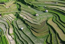 Pertanian di lereng Cisarua, Kabupaten Bandung Barat. Foto Antara