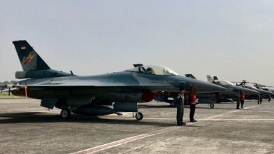 Pesawat F-16 milik TNI AU. Foto: Antara