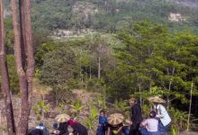 Petani Baduy mulai menanam padi huma secara sernetak. Foto: Antara