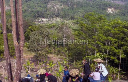 Petani Baduy mulai menanam padi huma secara sernetak. Foto: Antara