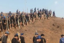 Ratusan petani Baduy mulai menanam padi huma. Foto Antara