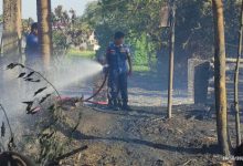 Kandang peternakan ayam terbakar habis di Cikande. Foto; Yono