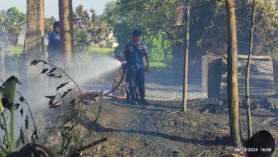 Kandang peternakan ayam terbakar habis di Cikande. Foto; Yono