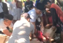 Al Muktabar, Pj Gubernur Banten menyembelih 10 hewan kurban. Foto: Istimewa