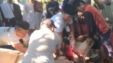 Al Muktabar, Pj Gubernur Banten menyembelih 10 hewan kurban. Foto: Istimewa