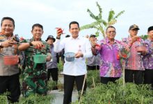 Pj Bupapati Tangerang, Andi Ony pane cabai. Foto: Prokopim Kab Tangerang