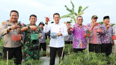 Pj Bupapati Tangerang, Andi Ony pane cabai. Foto: Prokopim Kab Tangerang