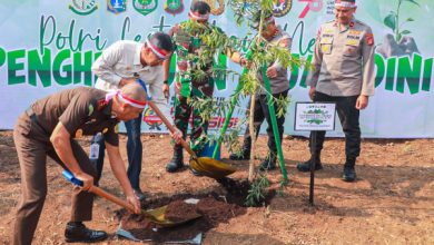 Pj Gubernur DKI Jakarta, Heru Budi Hartono dan Forkopimda tanam pohon. Foto: Diskominfotik DKI Jakarta