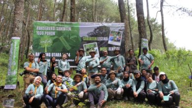 Penanaman 1.000 pohon langka Saninten di Lembang, Bandung oleh Pertamina Patra Niaga RJBB. Foto: Humas Paertamina Patra Niaga RJBB