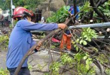 Salah satu lokasi pohon tumbang di Kota Tangerang. Foto: Antara