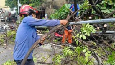 Salah satu lokasi pohon tumbang di Kota Tangerang. Foto: Antara