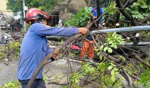 Salah satu lokasi pohon tumbang di Kota Tangerang. Foto: Antara