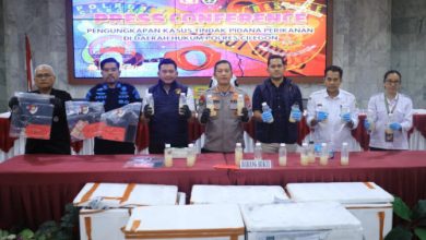 Pengungkapan penyelundupan BBL 50.000 ekor. foto Daeng Yusvin