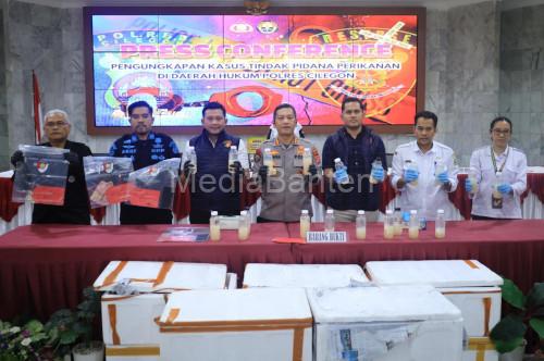 Pengungkapan penyelundupan BBL 50.000 ekor. foto Daeng Yusvin