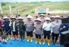 Program penanaman jagung dari Polda Jawa Barat. Foto Yono
