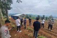 Polda Jabar melakukan penanaman jagung serentak seluas 110,2 hektar. Foto Yono