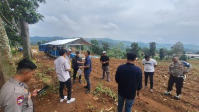 Polda Jabar melakukan penanaman jagung serentak seluas 110,2 hektar. Foto Yono