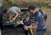biro SDM Polda Jabar melaksanakan penanaman uwi ungu. Foto Yono