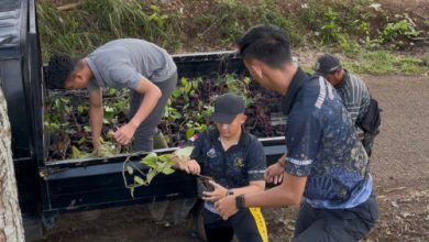 biro SDM Polda Jabar melaksanakan penanaman uwi ungu. Foto Yono