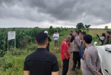 Tim Biro SDM Polda Jabar survei lokasi tanah Perhutani untuk kebun jagung. Foto Yono
