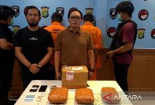 Polda Metro Jaya membongkar peredaran ganja 3 KG ganja di Tangerang. Foto Antara