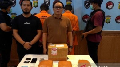 Polda Metro Jaya membongkar peredaran ganja 3 KG ganja di Tangerang. Foto Antara