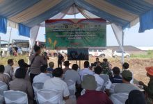 Polres Serang melakukan penanaman jagung setentak. Foto: Yono