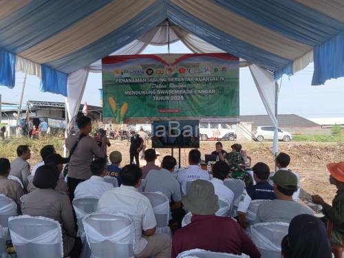 Polres Serang melakukan penanaman jagung setentak. Foto: Yono