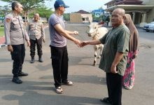Polres Serang menyalurkan hewan kurban. Foto: Yono
