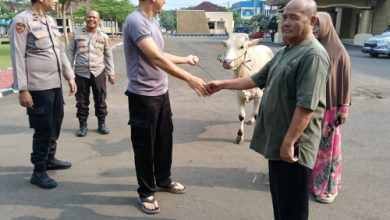 Polres Serang menyalurkan hewan kurban. Foto: Yono