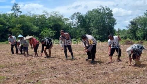 Polres Serang melakukan perluasan areal tanam jagung. Foto Yono