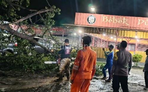 Polsek Cibeber merespon cepat laporan pohon tumbang di JLS Kota Cilegon. Foto Yusvin Karuyan