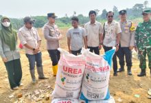 Polsek Cikande dan Bumdes Cijeruk melakukan penanaman jagung. Foto Yono