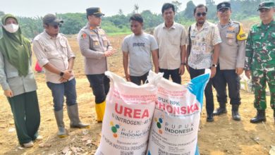 Polsek Cikande dan Bumdes Cijeruk melakukan penanaman jagung. Foto Yono