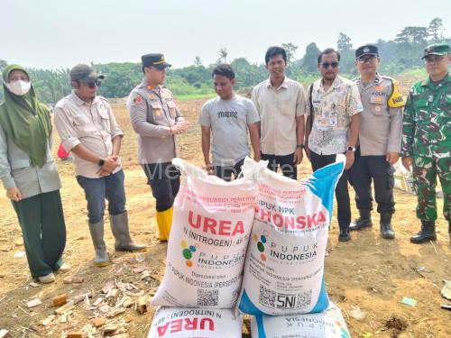 Polsek Cikande dan Bumdes Cijeruk melakukan penanaman jagung. Foto Yono