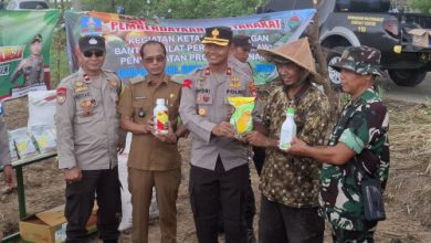 Polsek Cikande menanam bibit pangan di lahan seluas 1,3 hektar. Foto: Yono