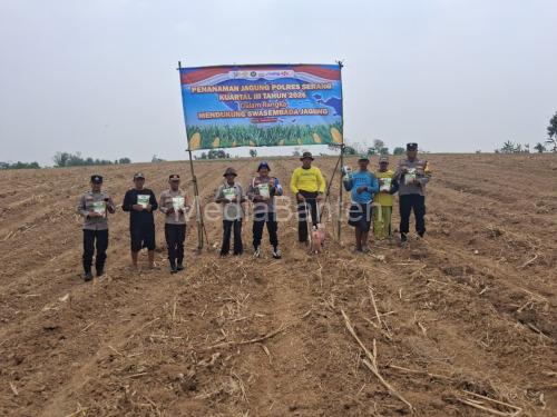 Polsek Jawilan melakukan penanaman jagung. Foto Yono