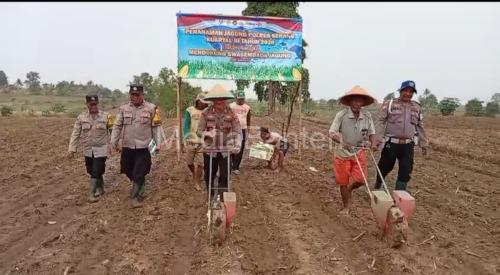 Polsek Jawilan melaksanakan penanaman jagung. Foto Yono