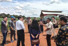 Kunjungan delegasi Tiongkok ke Perkebunan Jagung Polres Serang di Kopo. Foto Yono