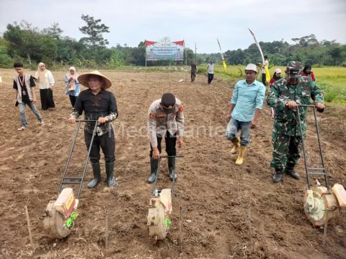 Polsek Kopo dan Koptan Garut Berkah tanam jagung kuartal 3. Foto: Yono