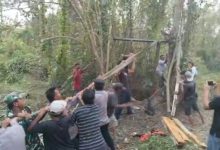 Polsek Kragilan dan Damkar Kabupaten Serang menyelamatkan kerbau betina. Foto Yono