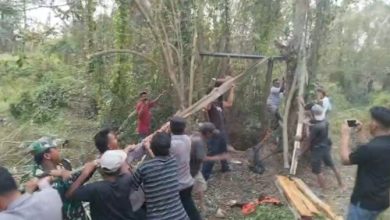 Polsek Kragilan dan Damkar Kabupaten Serang menyelamatkan kerbau betina. Foto Yono
