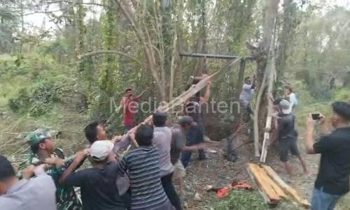 Polsek Kragilan dan Damkar Kabupaten Serang menyelamatkan kerbau betina. Foto Yono