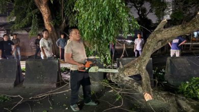 Personel Polsek Kragilan menangani pohon tumbang. Foto Yono