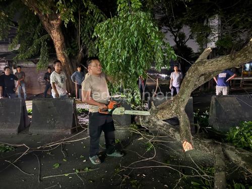 Personel Polsek Kragilan menangani pohon tumbang. Foto Yono