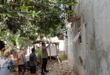 Dinding rumah yang roboh di Petir. Foto Yono